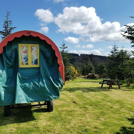 Clissmann Horse Caravans Glamping Rathdrum Luaran gambar