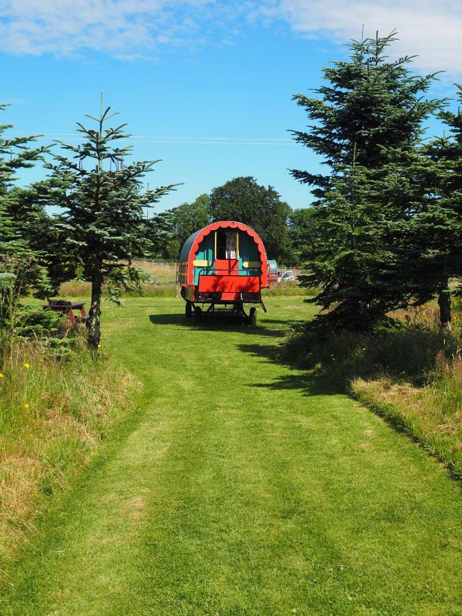 Clissmann Horse Caravans Glamping Rathdrum Luaran gambar