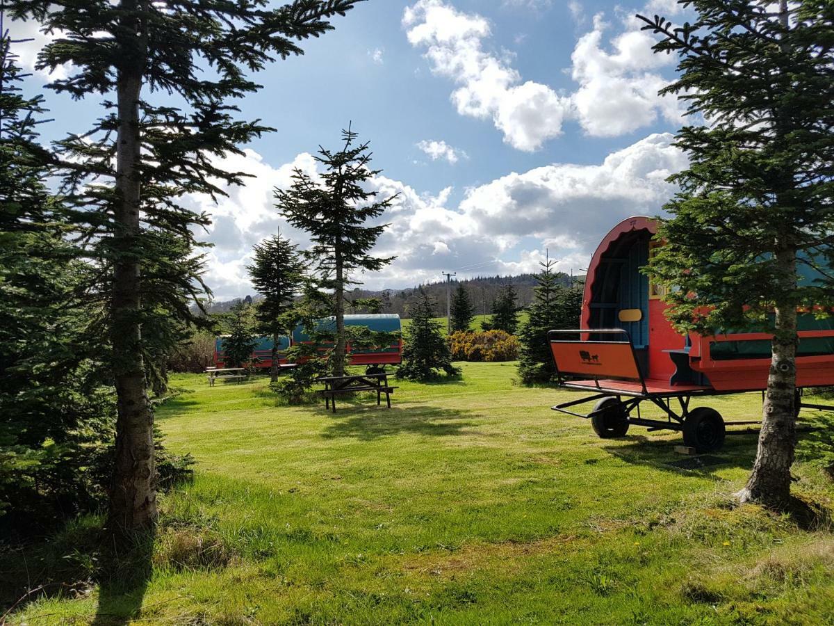 Clissmann Horse Caravans Glamping Rathdrum Luaran gambar