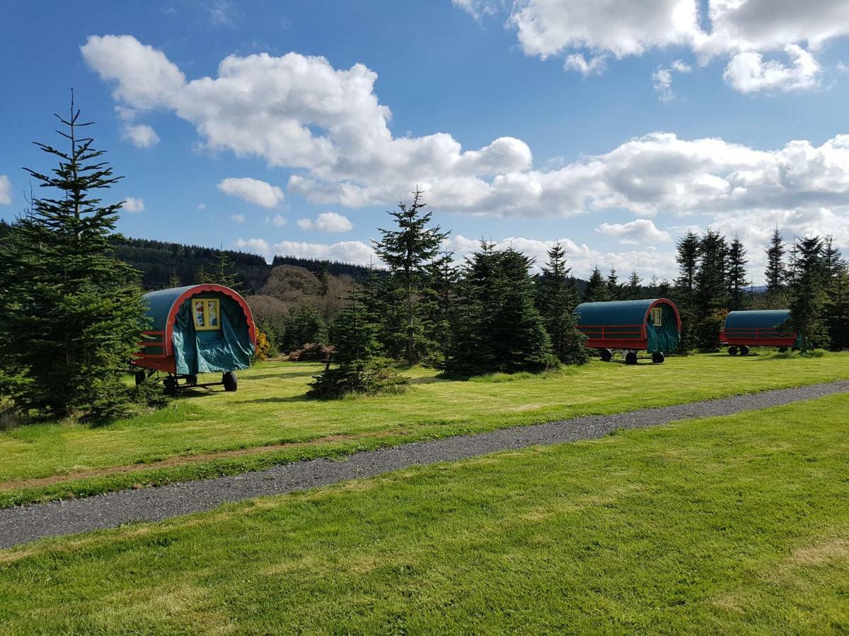 Clissmann Horse Caravans Glamping Rathdrum Luaran gambar