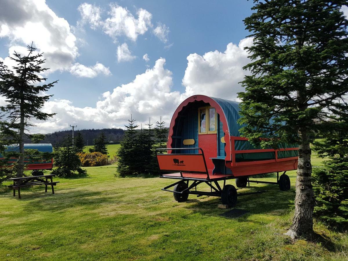 Clissmann Horse Caravans Glamping Rathdrum Luaran gambar