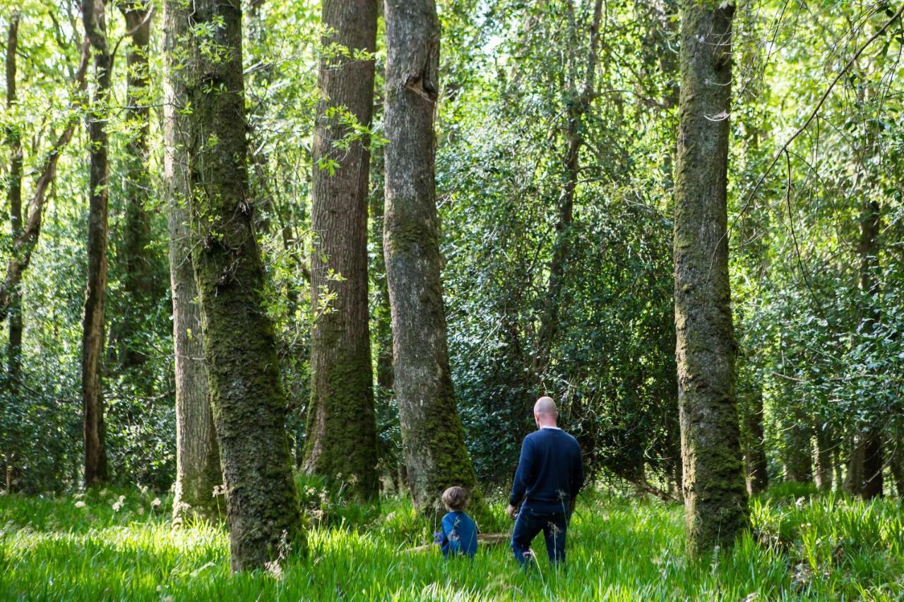 Clissmann Horse Caravans Glamping Rathdrum Luaran gambar