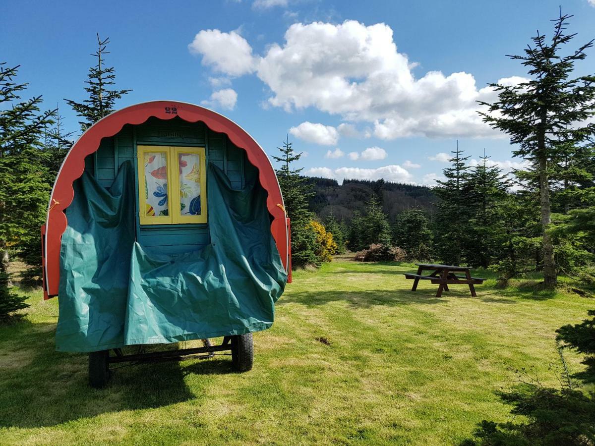 Clissmann Horse Caravans Glamping Rathdrum Luaran gambar