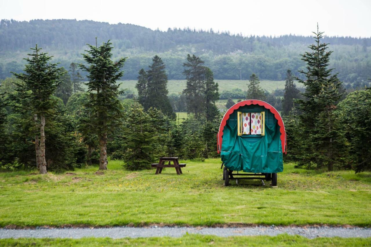 Clissmann Horse Caravans Glamping Rathdrum Luaran gambar